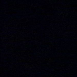 Meet your Posher, Sylvia